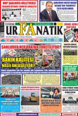 URFANATİK