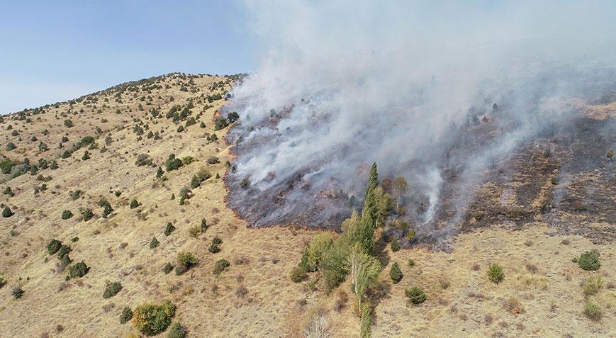 Sivas’ta otluk ve ağaçlık alanda yangın! Müdahale devam ediyor