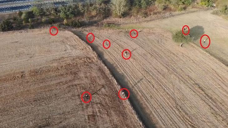 Tekirdağ’da tarlada göçmen kovalamacası: 122 kaçak yakalandı