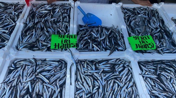 Hamsinin kilosu 80 liradan alıcı buldu