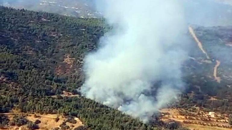 İzmir'de orman yangını! Havadan karadan müdahale