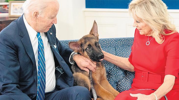 ‘Biden’ın köpeği huzurlu değil’
