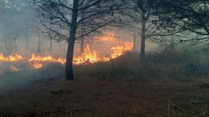 Çanakkale’de yangın: Alevler hızla yayıldı