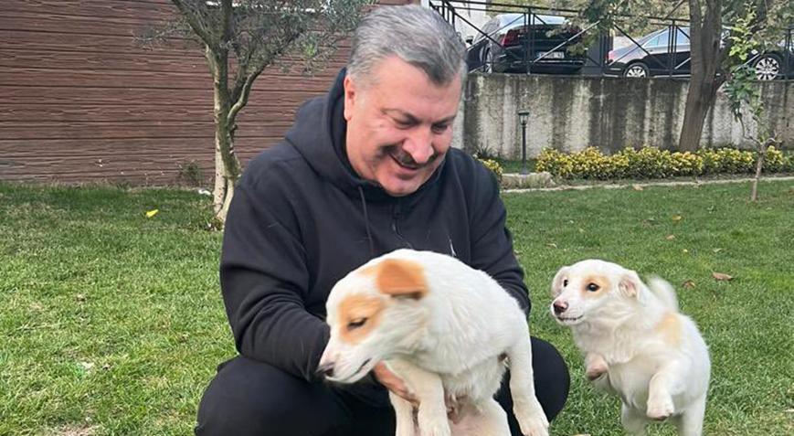 Bakan Koca’dan ‘Dünya Hayvanları Koruma Günü’ paylaşımı: Onlar hayatımızın bir parçası