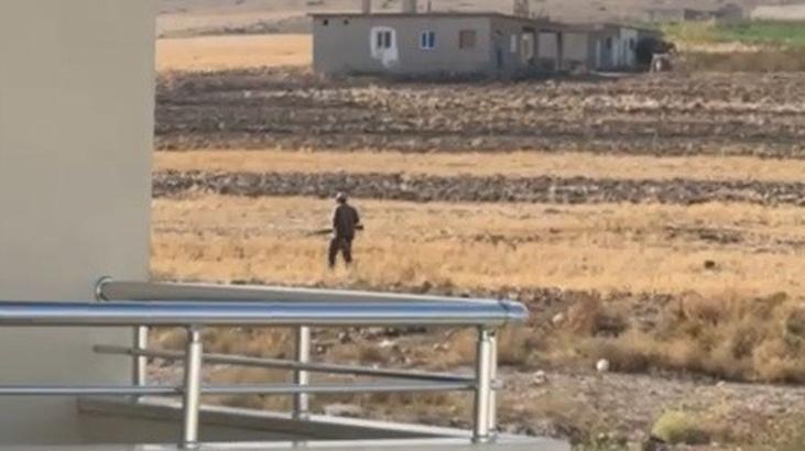 Pompalı tüfekle dehşet! Sokak köpeklerini vurdu, böyle dolaştı