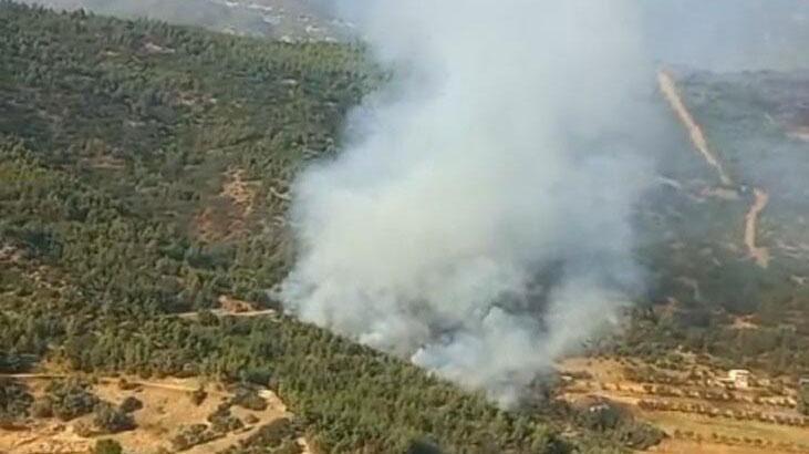 İzmir’de orman yangını! Havadan karadan müdahale