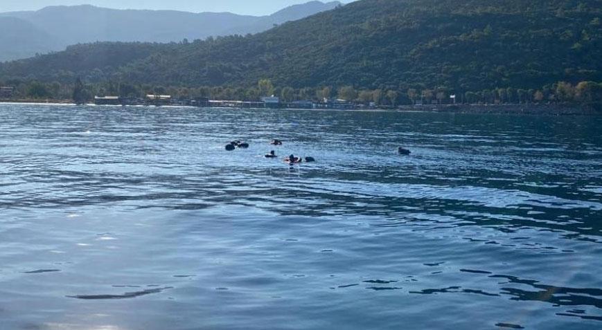 Yüzerek Yunanistan’a geçmeye çalışan göçmenler yakalandı