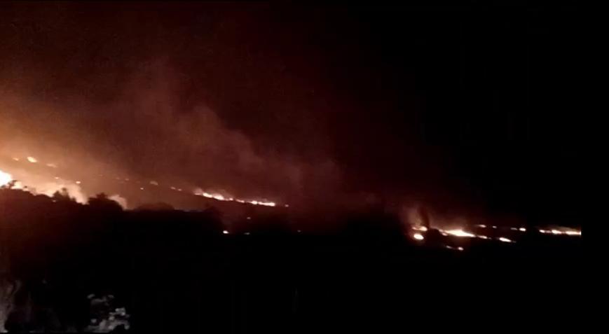 Balıkesir’de orman yangını! Ekipler müdahale ediyor