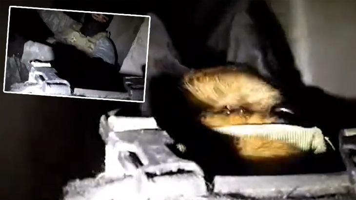 İsrailli yetkilinin yalanı patladı! ‘Hamas’ın tünellerine intihar köpekleri’