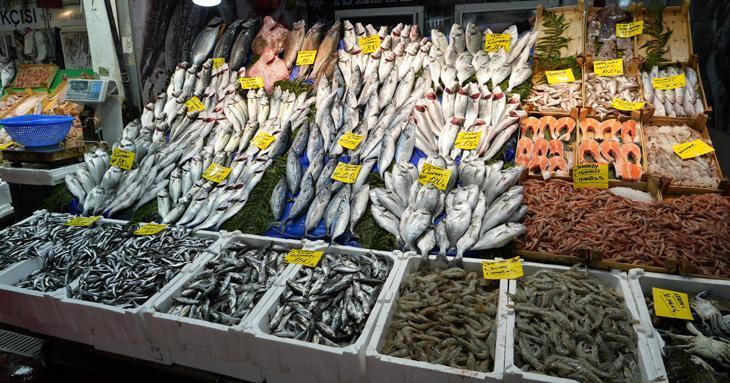 Hamsi bolluğu yaşanıyor, fiyatlar geriledi