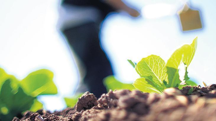 ÇKS’ye taahhütname ile kayıt