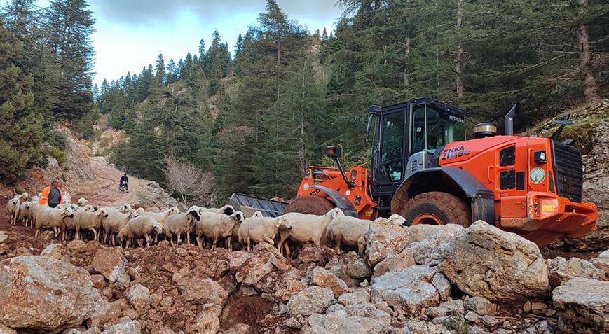 Yaylada mahsur kalan çobanlar ve küçükbaş sürüsü 5 saat sonra kurtarıldı