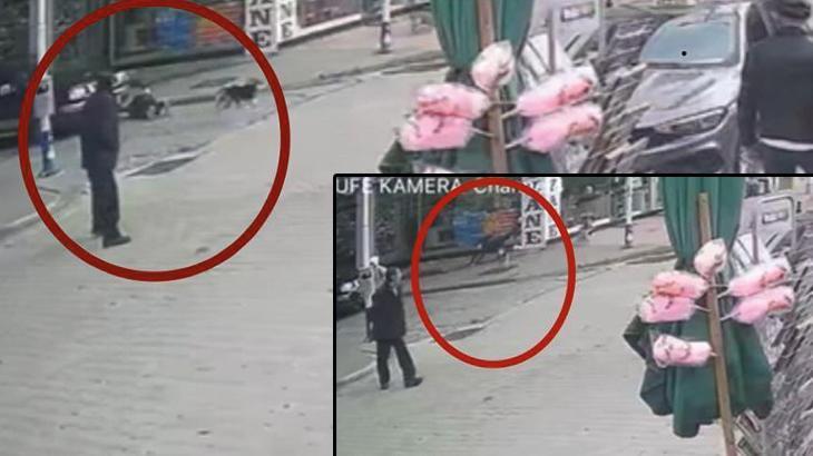 Köpekten kaçarken az kalsın eziliyordu! Son anda kurtuldu