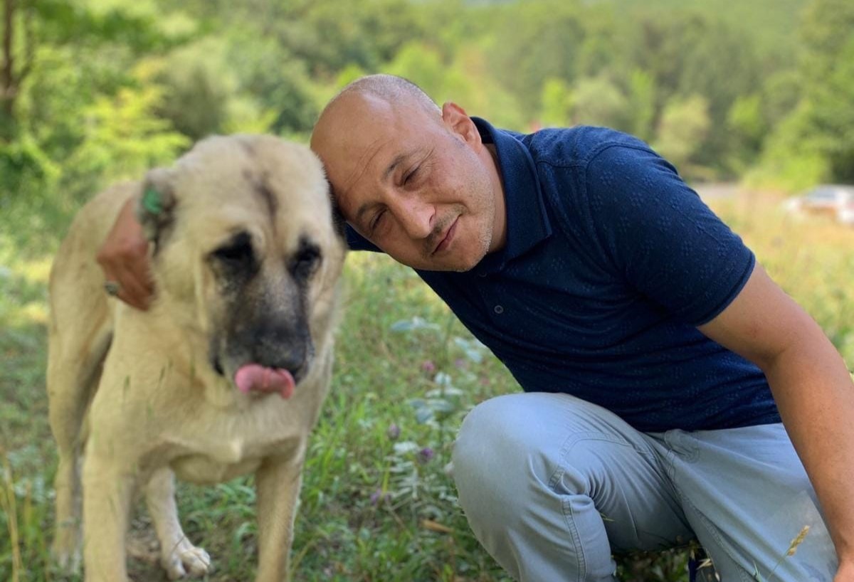 Sahipsiz Patiler Derneği Bursa