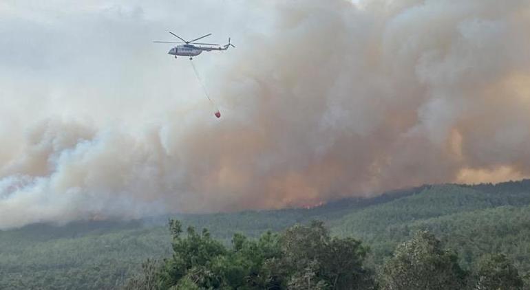 Çanakkale'deki 3 büyük orman yangını ile ilgili korkunç bilanço