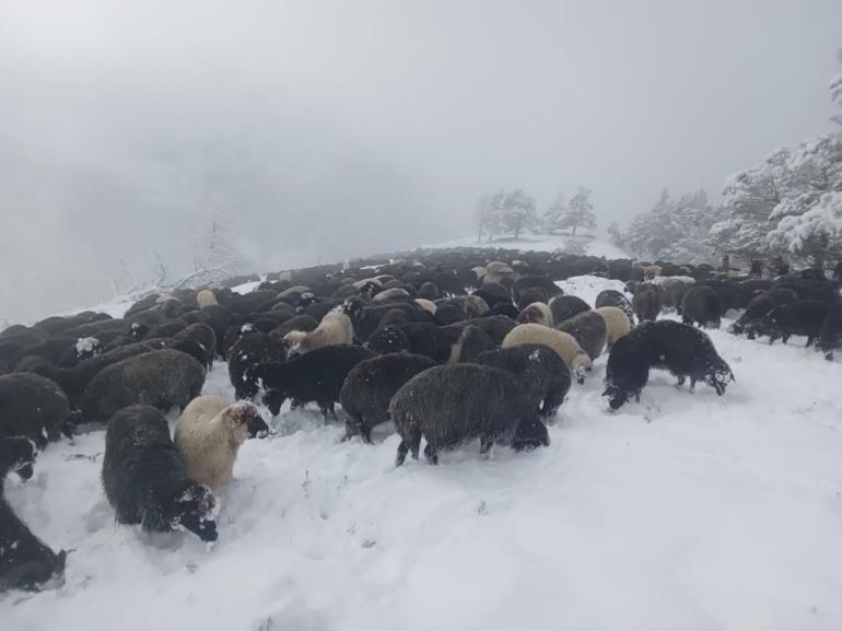 'Türkiye'nin Sibirya'sı! Kar kendini gösterdi