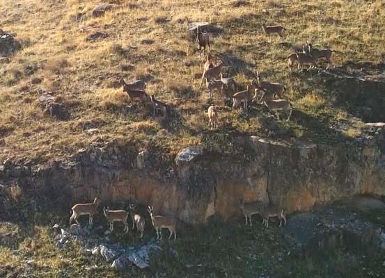 9 milyon yıllık kanyon! Havadan böyle görüntülendiler