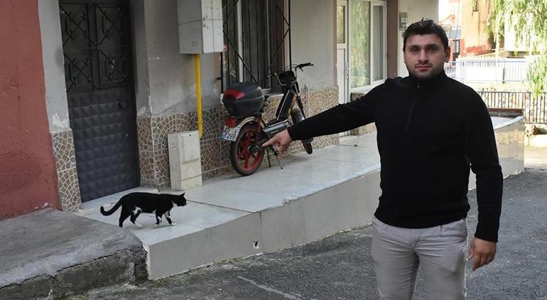 İzmir'de vahşet! Sokak kedisine keserle saldırdı, dereden ölü yavru kediler çıktı