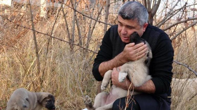 Yozgat'ta iç ısıtan görüntü! İlk önce yavrularını düşündü