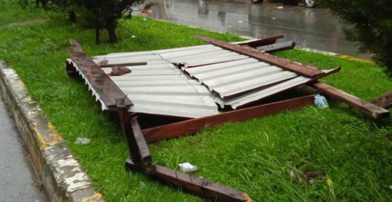 Rize ve Kastamonu'da fırtına etkili oldu! Ağaçlar devrildi, çatılar uçtu