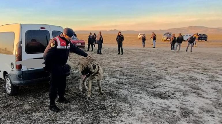 Kayseri'de köpek dövüştüren 37 kişi yakanlandı; 6 köpek kurtarıldı