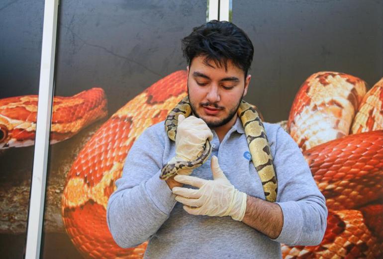 Antalya'da evin giriş kapısındaki 'kral piton' şoke etti