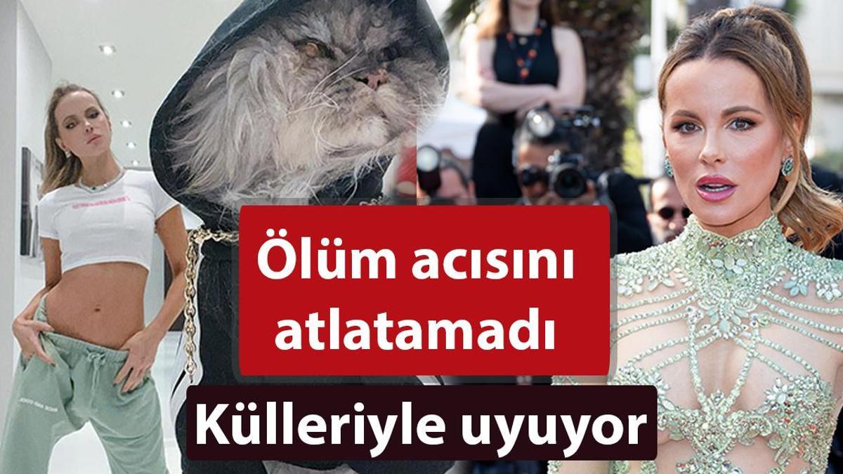 Oyuncu Kate Beckinsale kedisinin külleriyle yatıyor