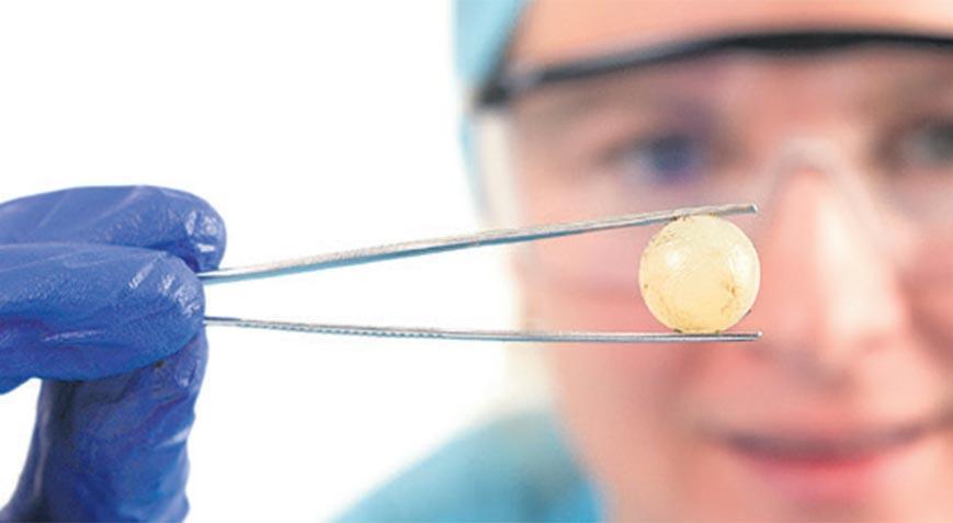 Kafa travmasına beyin implantı! Unutkanlık azaldı