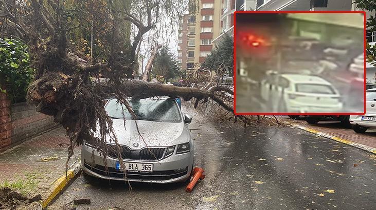 Şoke eden olay! İstanbul’da rüzgar nedeniyle bir kadının üzerine ağaç devrildi