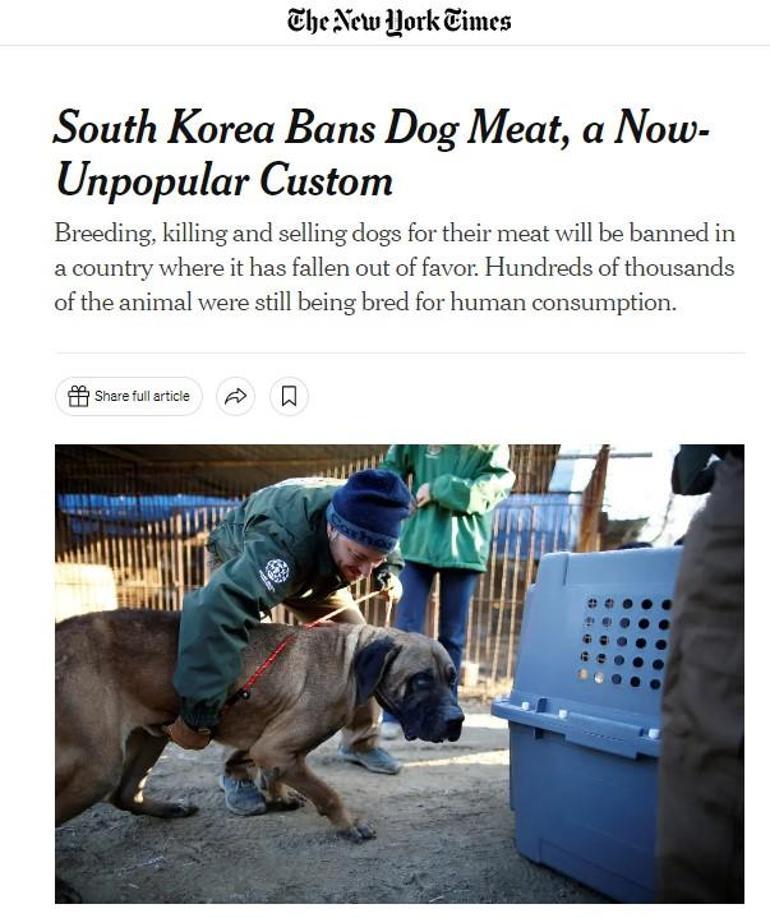 Artık köpek eti yemeyecekler! Ülke tarihe geçen karar, oylamada ret çıkmadı