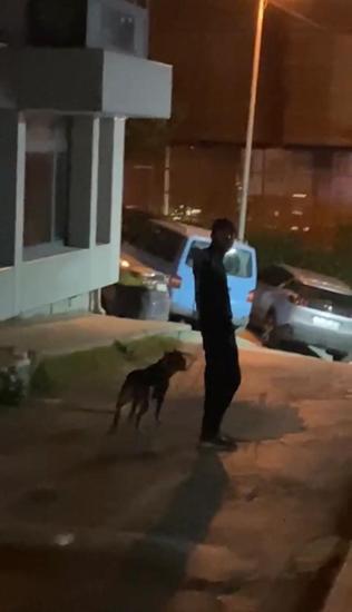 Cihangir’de dehşet anları: Tartıştığı kişinin üzerine Pitbull köpeğini saldı!