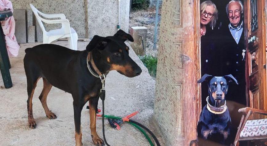 Korhan Berzeg 200 gündür kayıp! Tina, her geçen aracın içine bakıyor