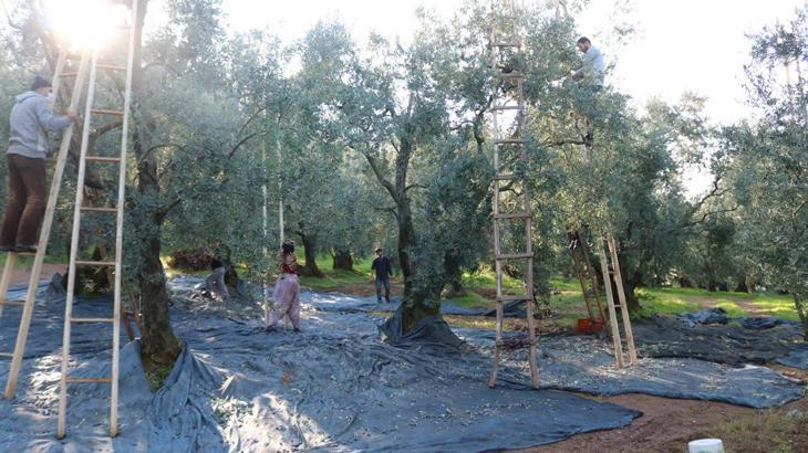 Marmarabirlik’ten 36 milyon TL’lik ödeme