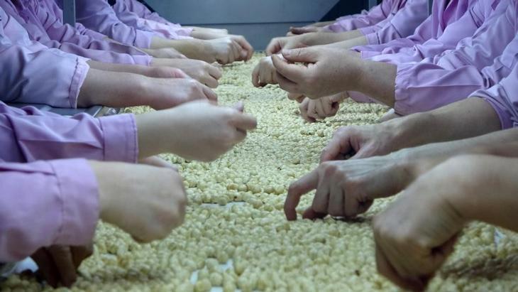 9 milyon 730 bin ton fındık ihraç edildi