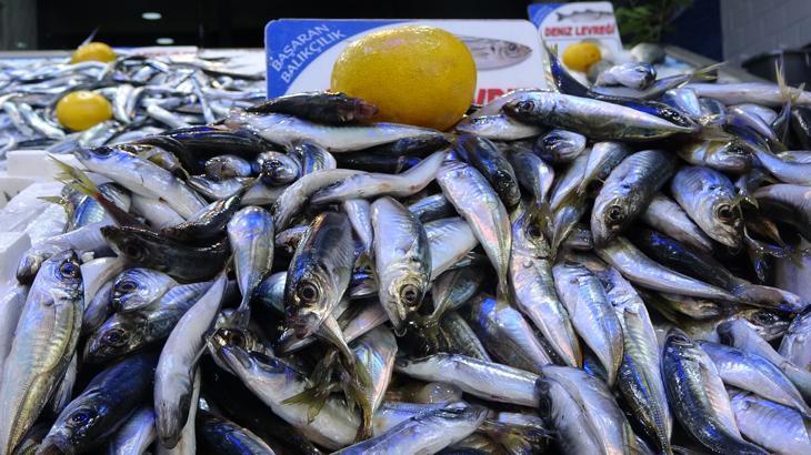 Balık fiyatları ikiye katladı