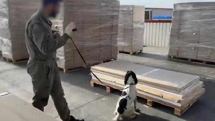 Gümrüklerde büyük operasyon