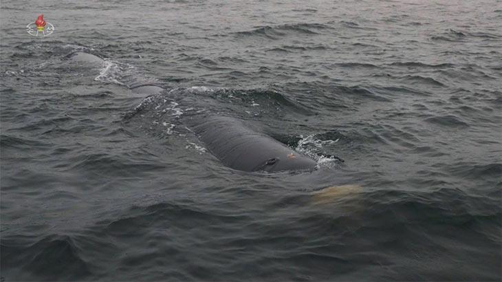 Kuzey Kore su altından nükleer füze ateşledi! ABD uçak gemisine Haeil-5-23’le cevap