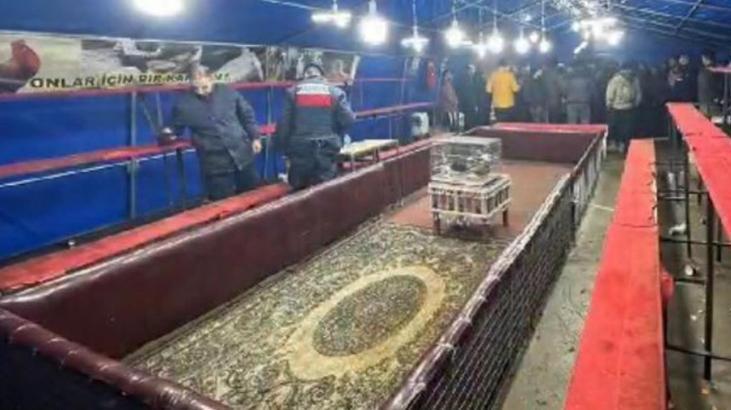 İhbar üzerine harekete geçtiler! ‘Hayvanları Koruma Derneği’nde horoz dövüşü baskını