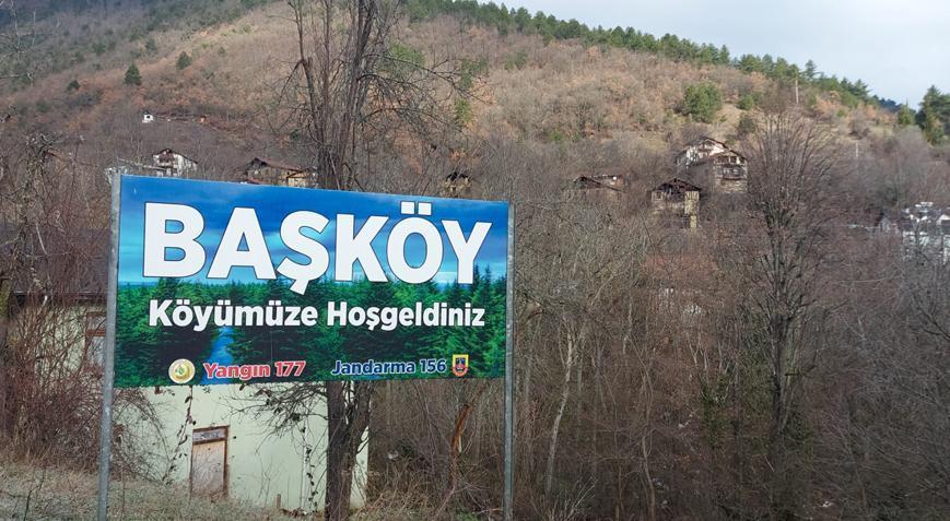 İki kentte şoke eden olay! Çok sayıda hayvan telef oldu