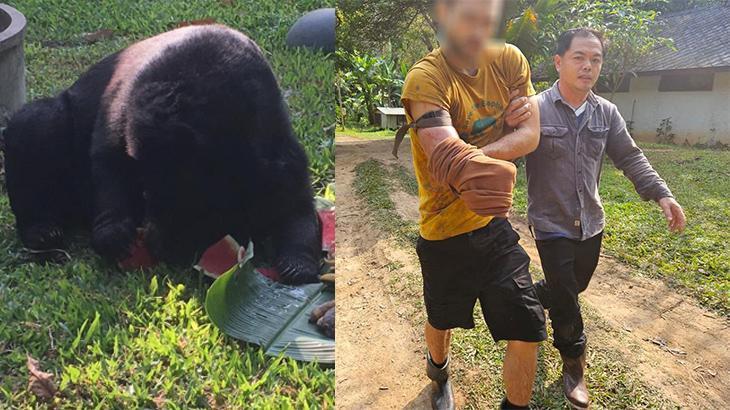 Aniden pençeleriyle kafese çekti: Ölmemek için kendi kolunu kesti!