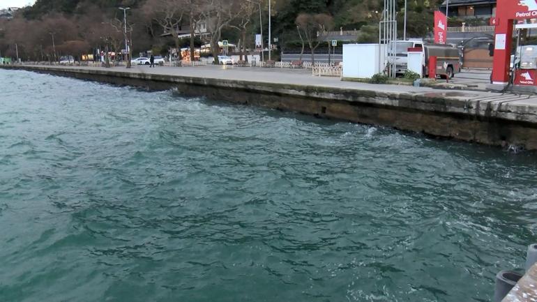 Boğaz'da can pazar! Kurtarmak için için çırpındılar