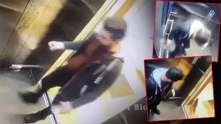 Kediyi asansörde sıkıştırıp ezerek öldürdü! Cezası belli oldu