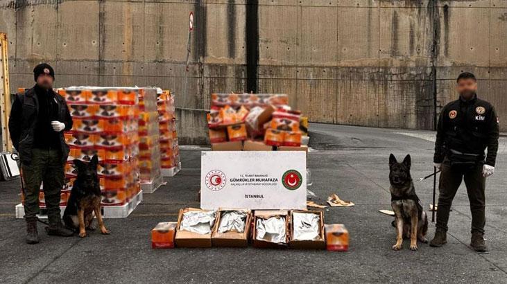 Ambarlı Limanı’nda uyuşturucu operasyonu