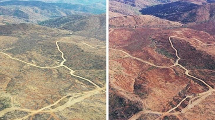 Marmaris’ten güzel haber! Yanan ormanlık alanlar böyle görüldü