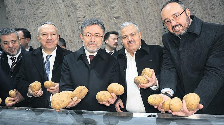 ‘Patateste arz sorunu yok’