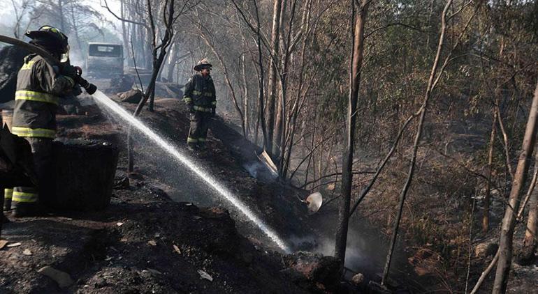 Şili'de orman yangını kabusu! 92 noktada devam ediyor... Can kaybı giderek artıyor