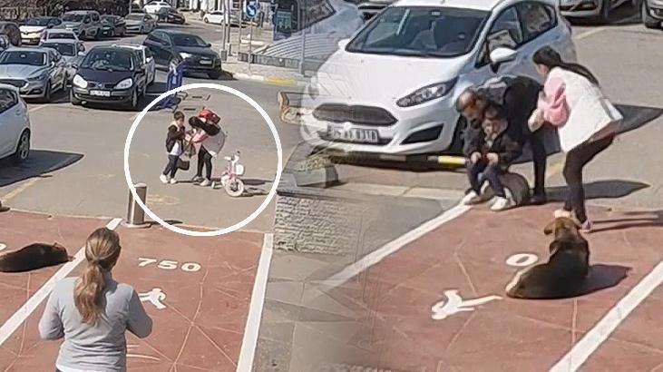 Boğazına şeker kaçan çocuğu zabıta kurtardı