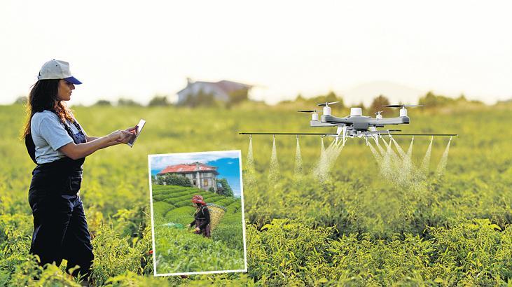 Kadın çiftçiler 300 bini geçti! Tarladan sofraya kadar kadın emeği var
