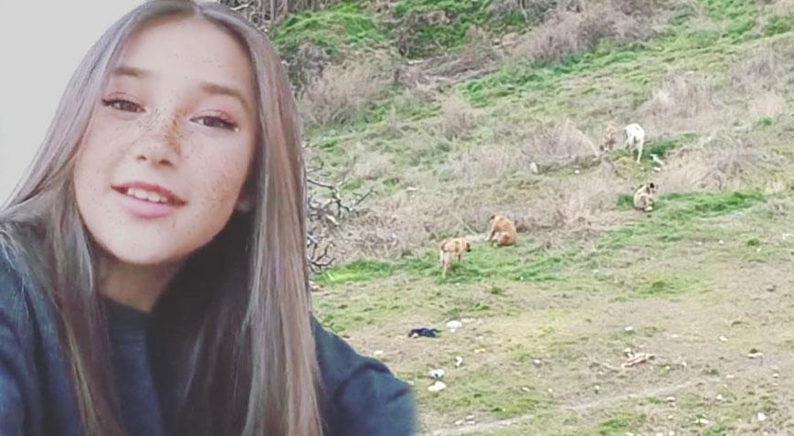 Dehşet anları! Kız çocukları kendilerine saldıran köpekleri kayda aldı