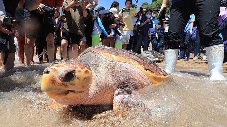 Tanzanya’da skandal! Deniz kaplumbağası yiyen 9 kişi öldü